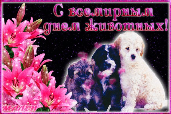 Анимированная открытка с всемирным днем