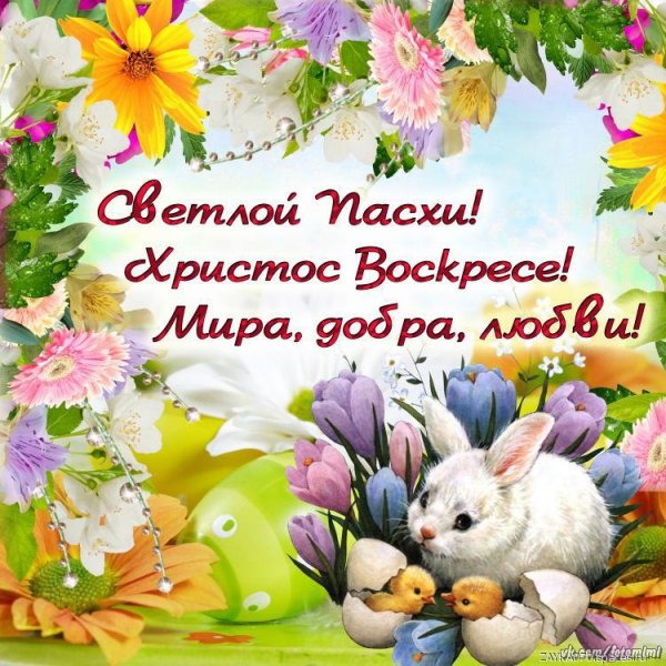 светлой пасхой