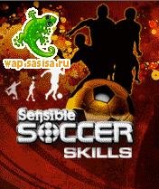 Sensible Soccer Skills