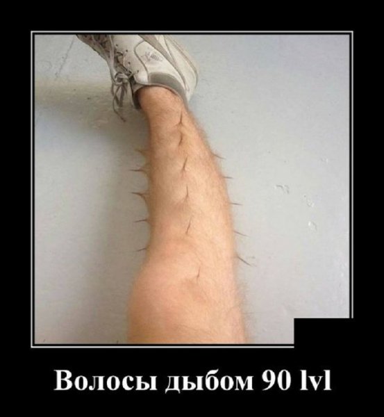 Волосы дыбом