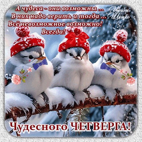 Анимированная открытка чудеса возможны