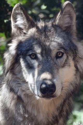 file_78610153