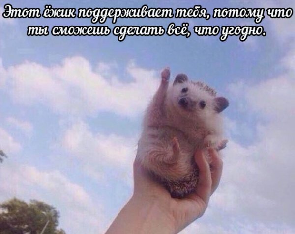 AU1YoDZ3f9U