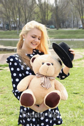 Мишка Стив Teddy
