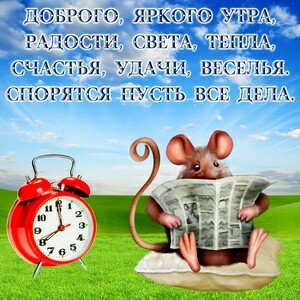 IMG 20181111 194515 432