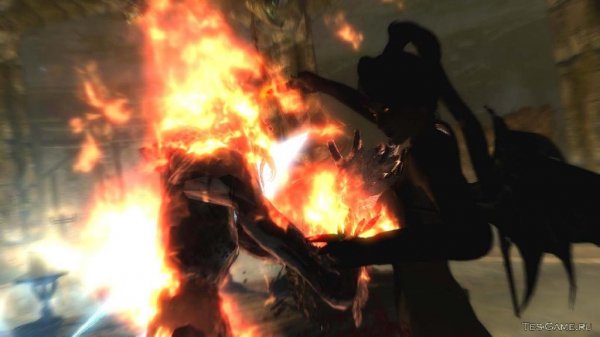 Vampire No Attack