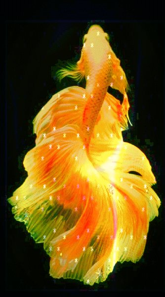 15-47-27-6c9a9812a6d1a5028824297b737dbd8f