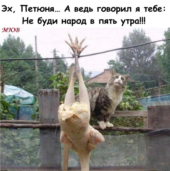 FB IMG 1778784235316