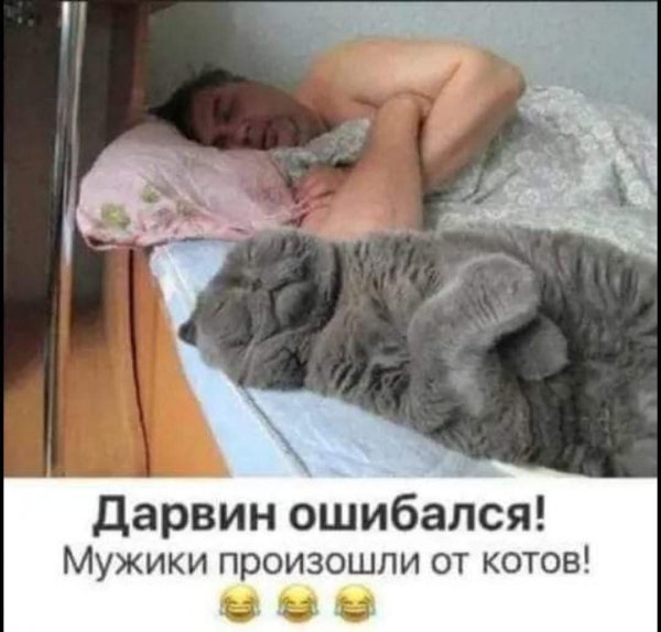 FB IMG 1778525785349
