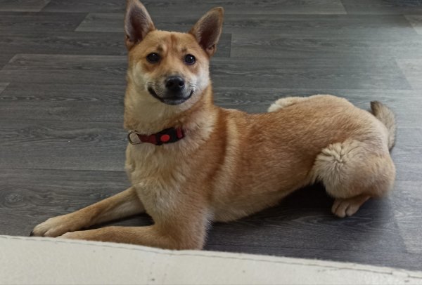 NOJHVWDCCBGTYGCXPWUGM