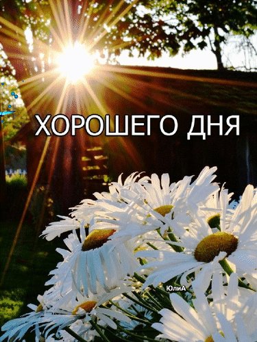 Анимированная открытка хорошего дня (7)