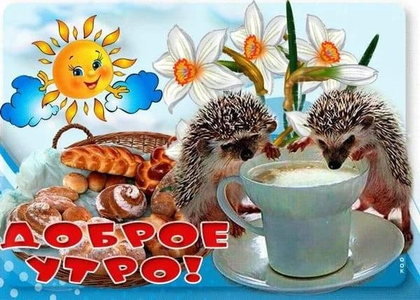 Доброе утро!