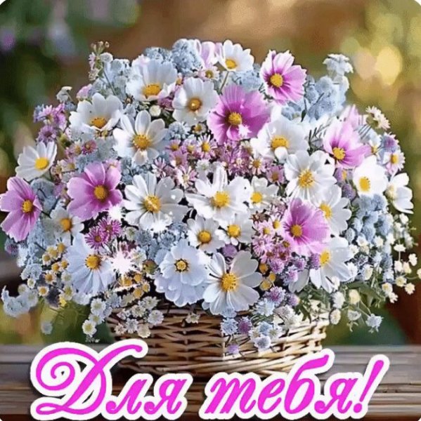 Screenshot 20250825-221342