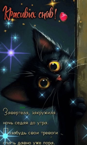 file_98372468