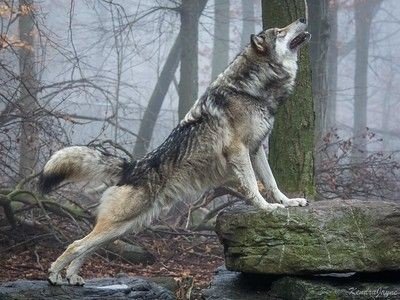 a9e6261d983e0a752d9aace47c