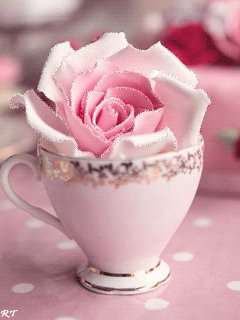 file_58774807