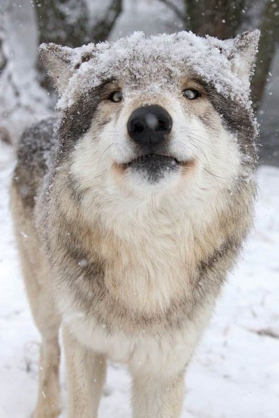 1a89edf62c3a082a9013aaa11e15f2ba