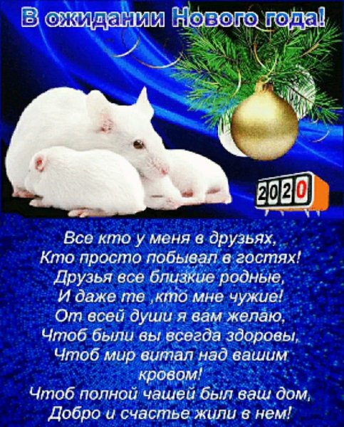 K6gS0 N kCc