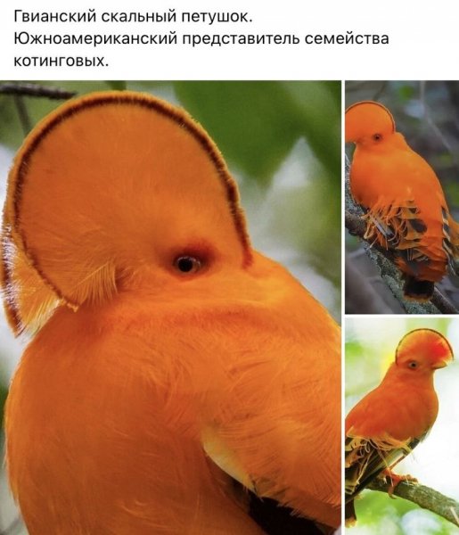 16a85675d602d1f46b3a3182c546d443