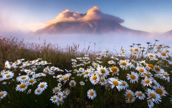 как прекрасен этот мир, посмотри..