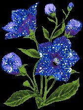 file_86462310