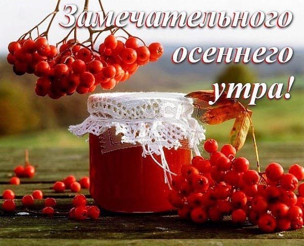 8tZdjMSAku0