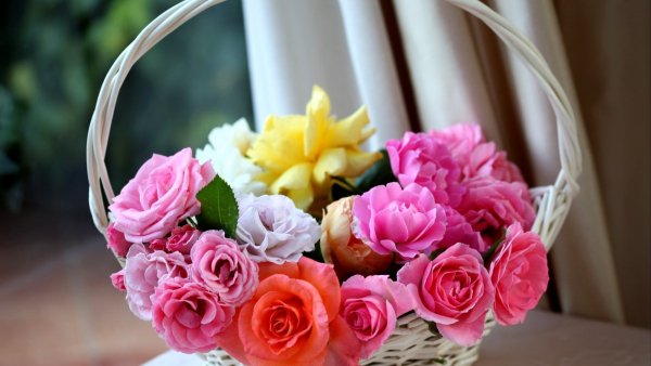 Image (43)