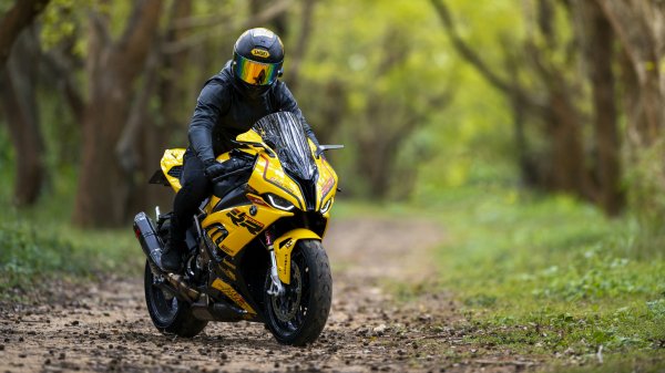 file_96531868