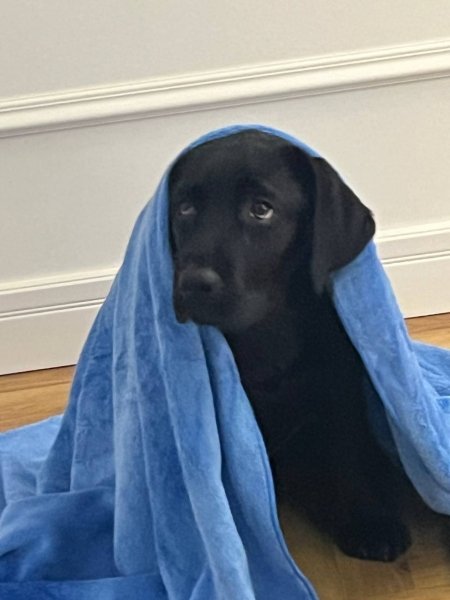 RSFFXDGBJHTFGGV39OE0