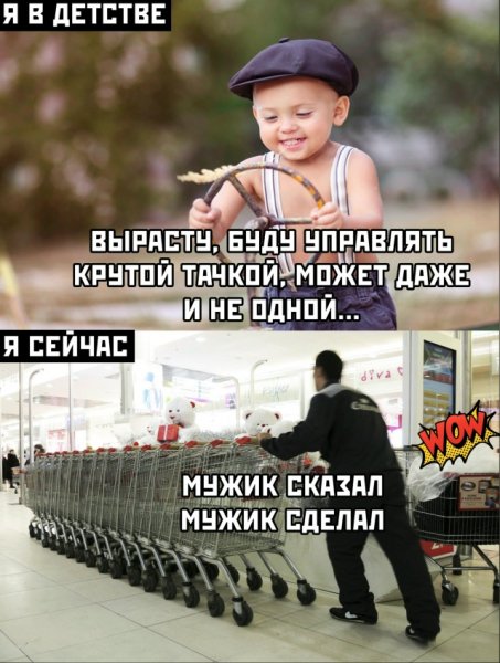 file_103234784
