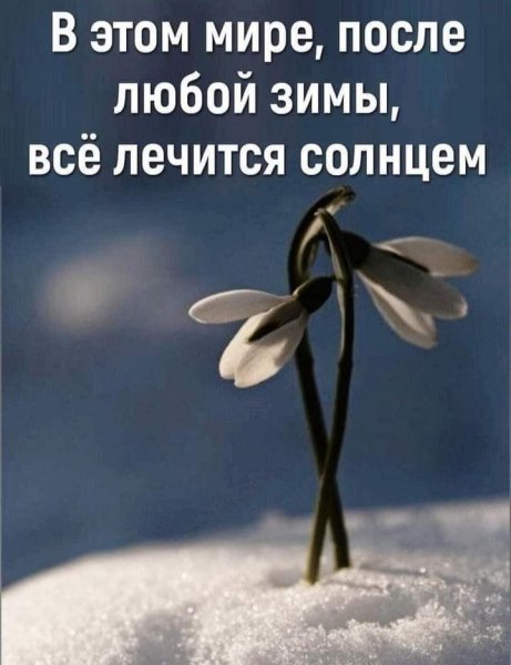 IMG 20230203 041626