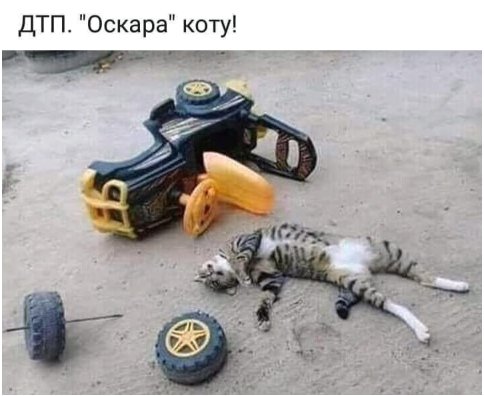 file_82171924