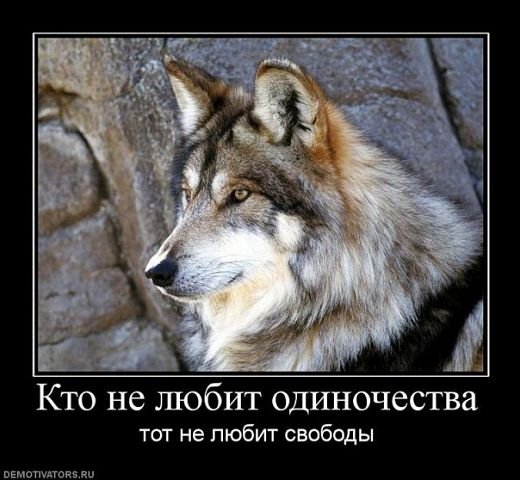 IMG 20141112 170300 78