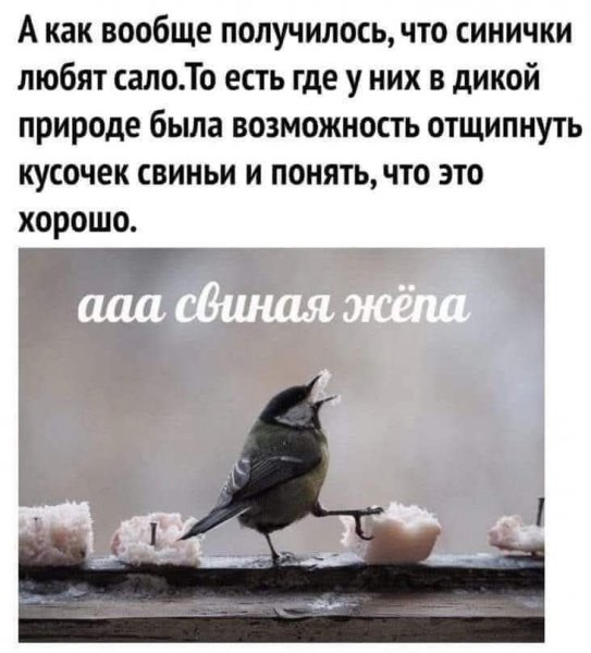 IMG 20260127 075038 750