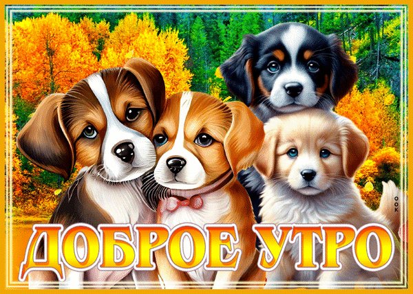 Анимированная открытка доброе