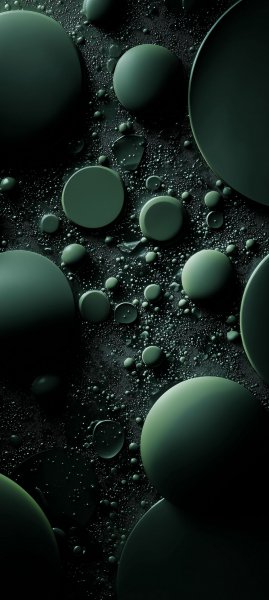 adapted 1080x2408 1758857624