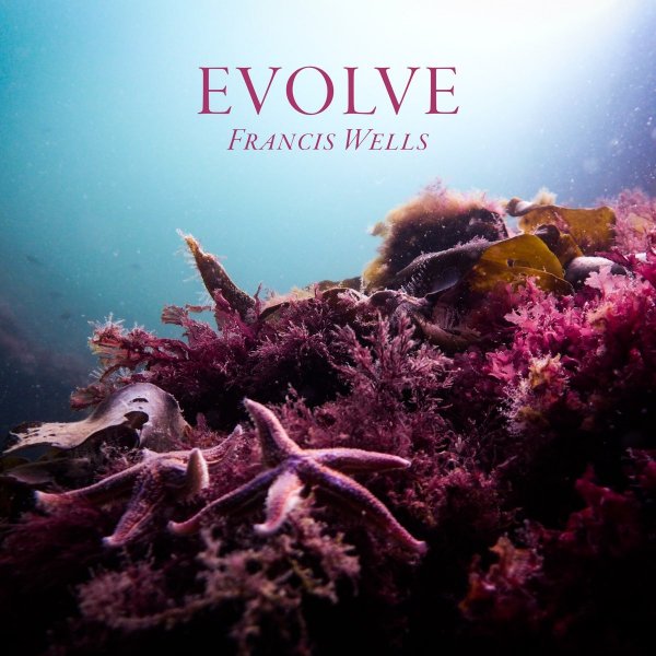 Francis Wells - The Fields at Home