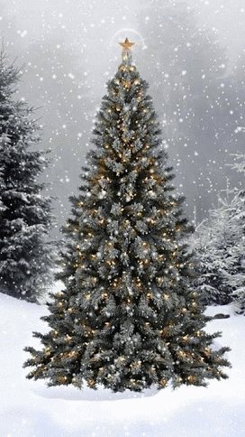 file_95441116