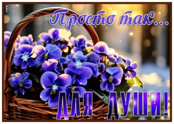file_99004956