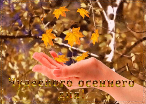 Чудесного осеннего дня!