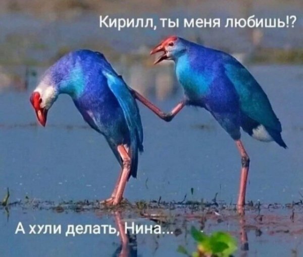 file_99929708