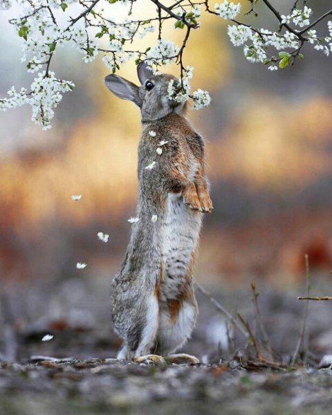 file_90777015