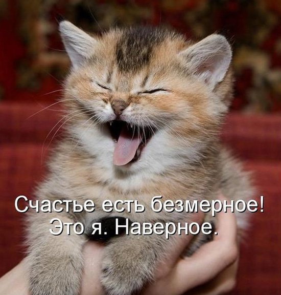 file_57957908