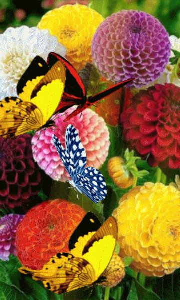 file_98756423