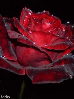 file_61709059