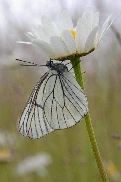 IMG-db5042e5e60c27aeb891a1bf6315f4b5-V