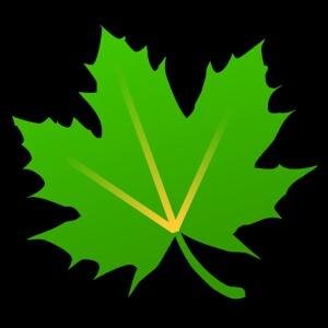 Greenify Donate by Balatan v2.95.beta3