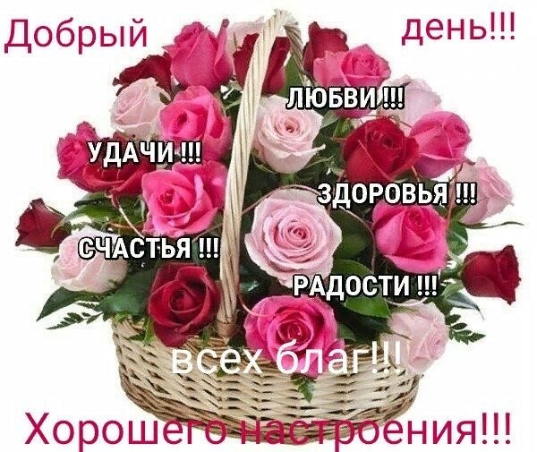 vU1fbQXsd9Y