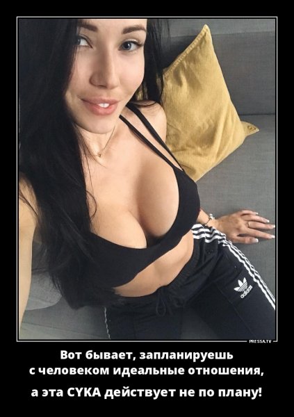 План
