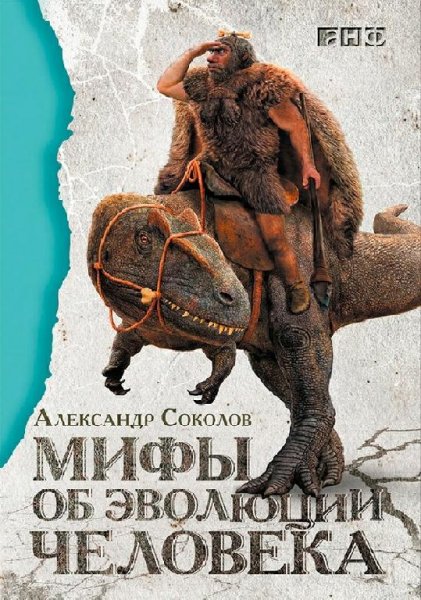 Соколов. Мифы об эволюции человека